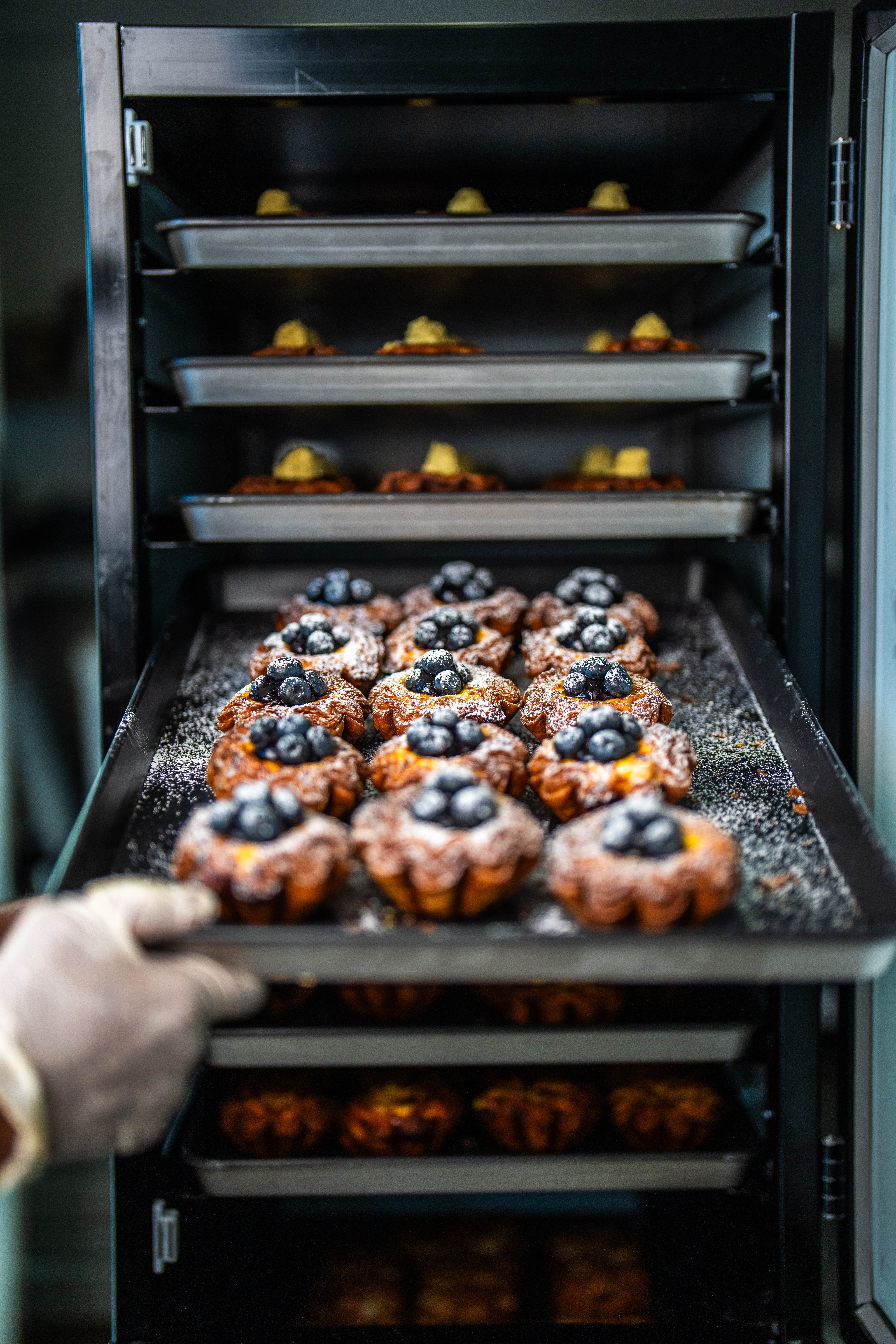 About Hi Bake | Gallery