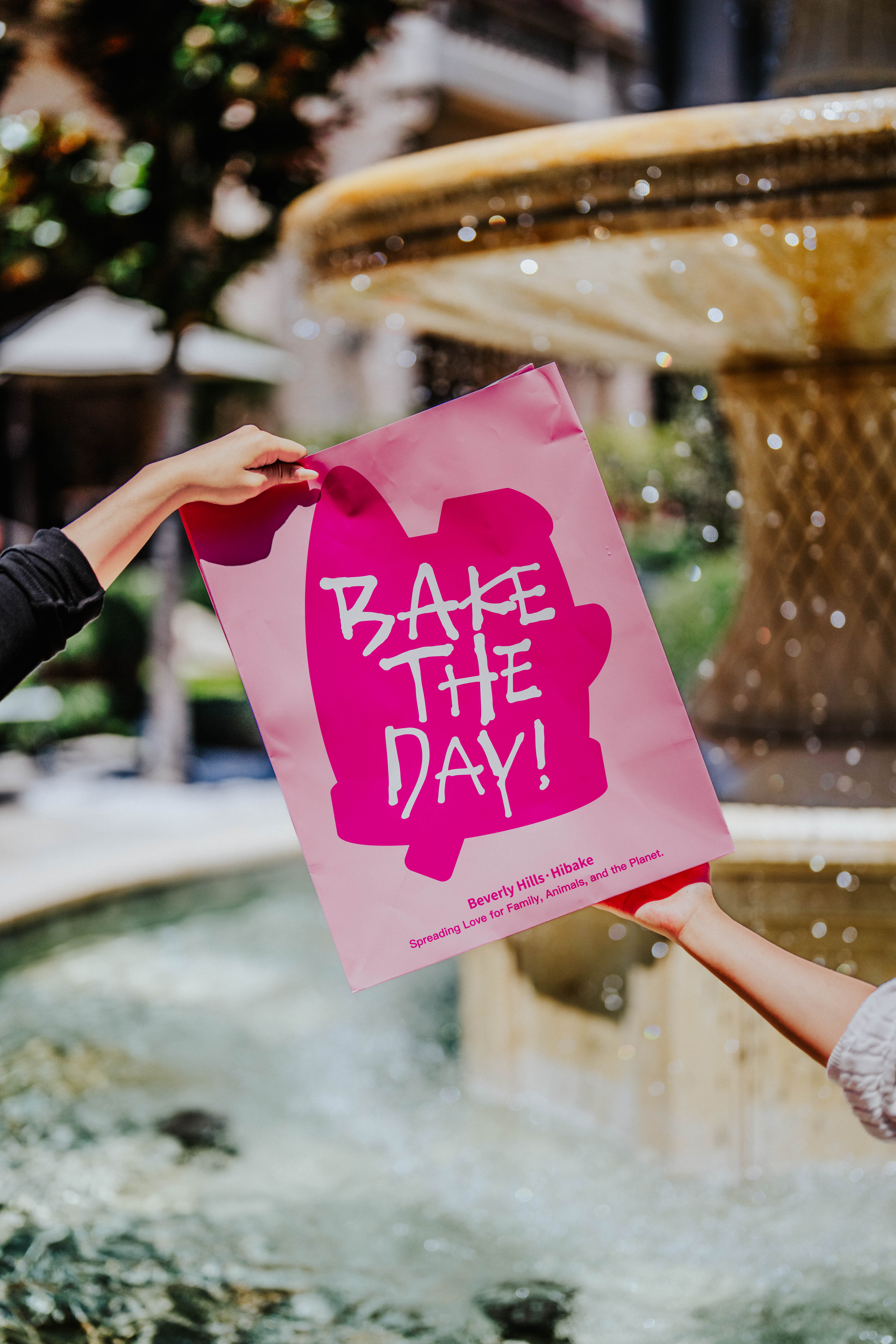 About Hi Bake | Gallery